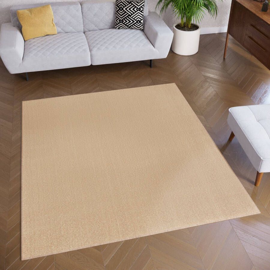 Tapiso Mono Square Vloerkleed Beige Laagpolig Vierkant Tapijt Maat- 200x200 - Foto 2