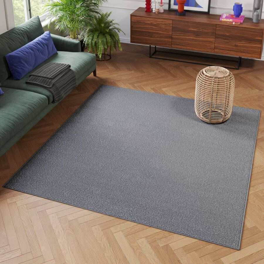 Tapiso Mono Square Vloerkleed Laagpolig Grijs Vierkant Tapijt Maat- 120x120