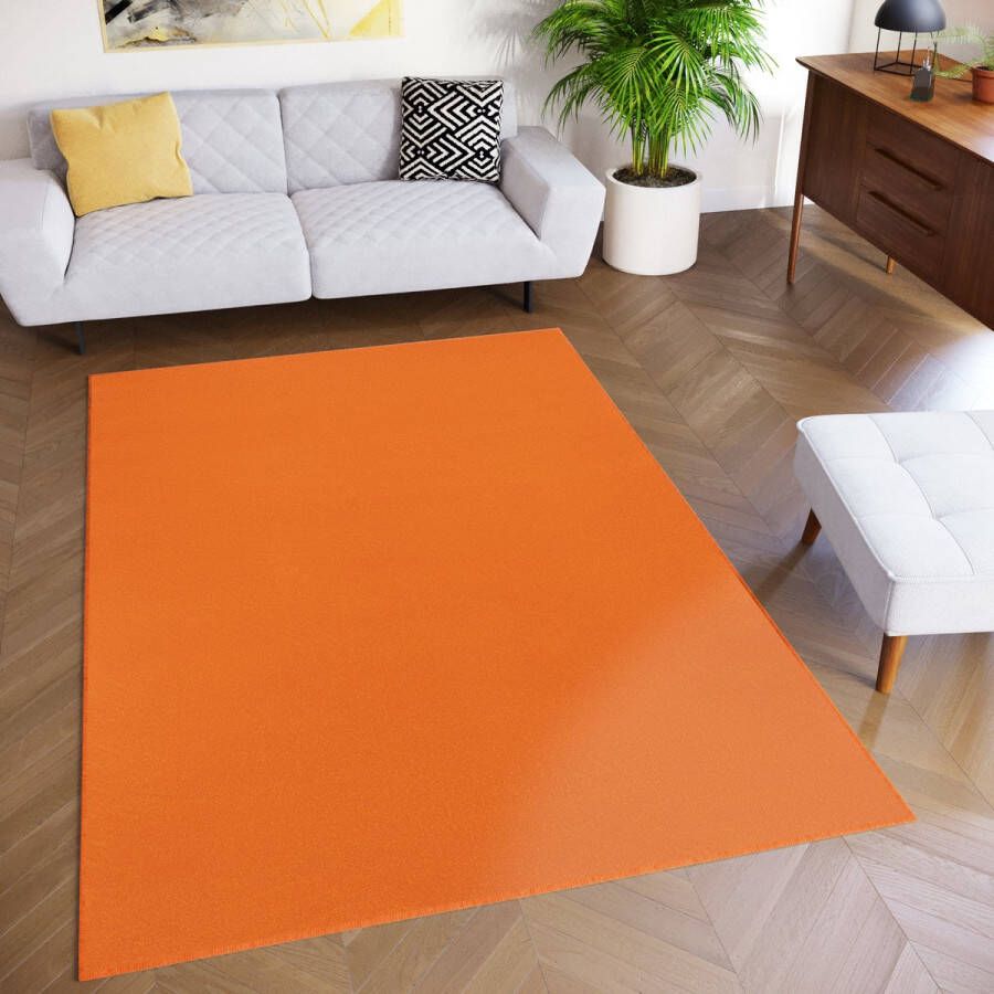 Tapiso Mono Vloerkleed Oranje Binnen en Buiten Tapijt Maat- 180x250 - Foto 2