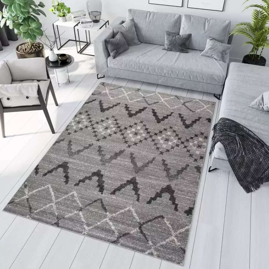 Tapiso Sari Vloerkleed Woonkamer Grijs Tapijt Boho Maat- 160x220