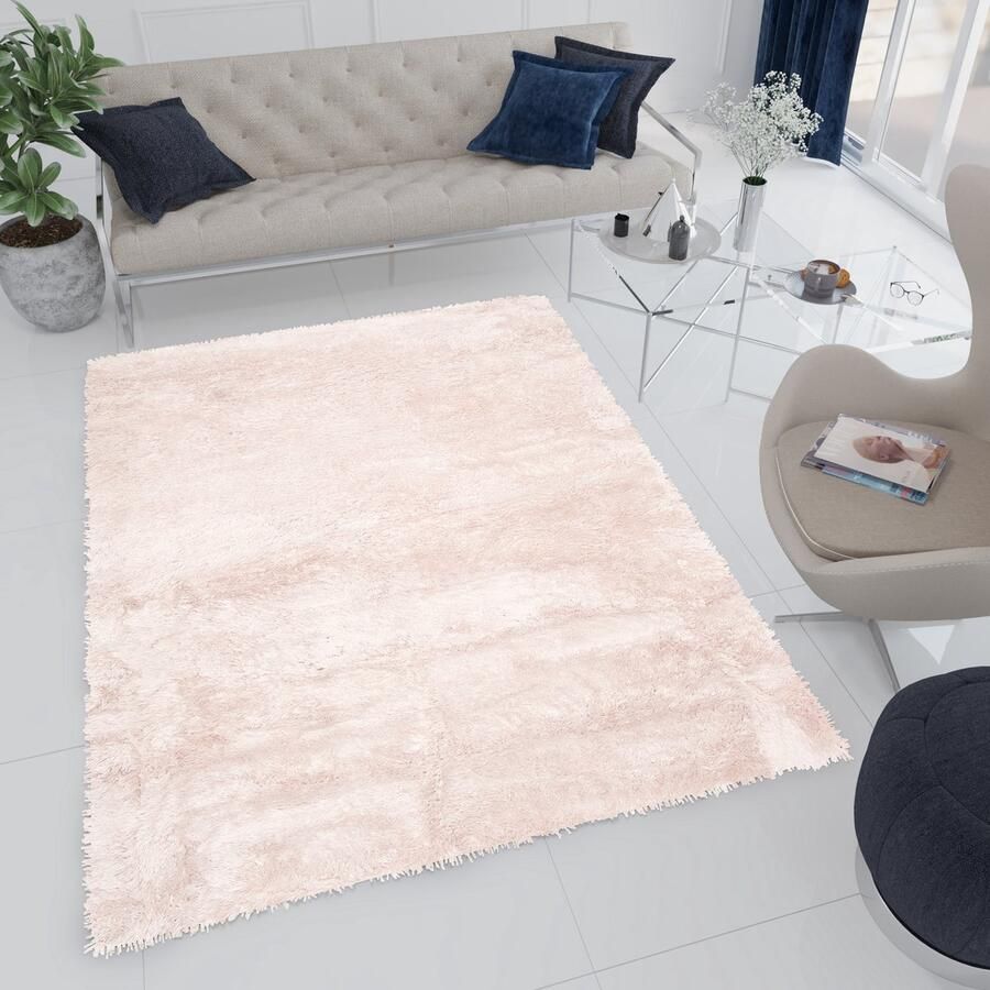 Tapiso Bird Hoogpolig Vloerkleed Beige Woonkamer Shaggy Tapijt Maat- 120x170