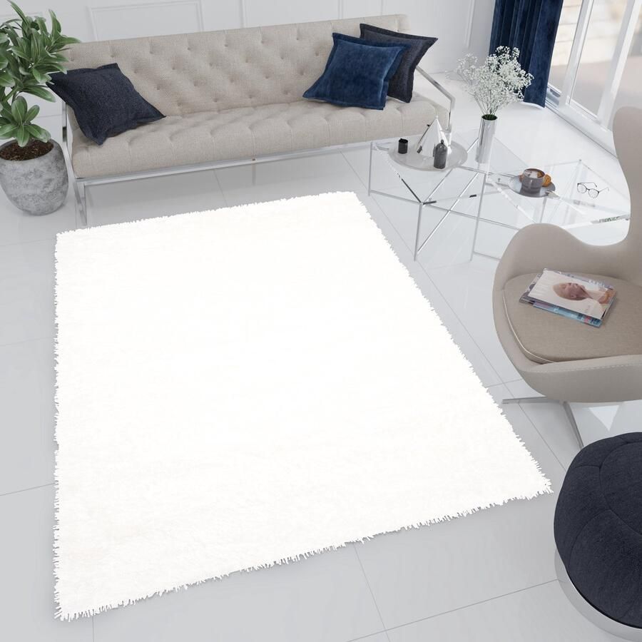 Tapiso Bird Hoogpolig Vloerkleed Woonkamer Wit Shaggy Tapijt Maat- 140x190