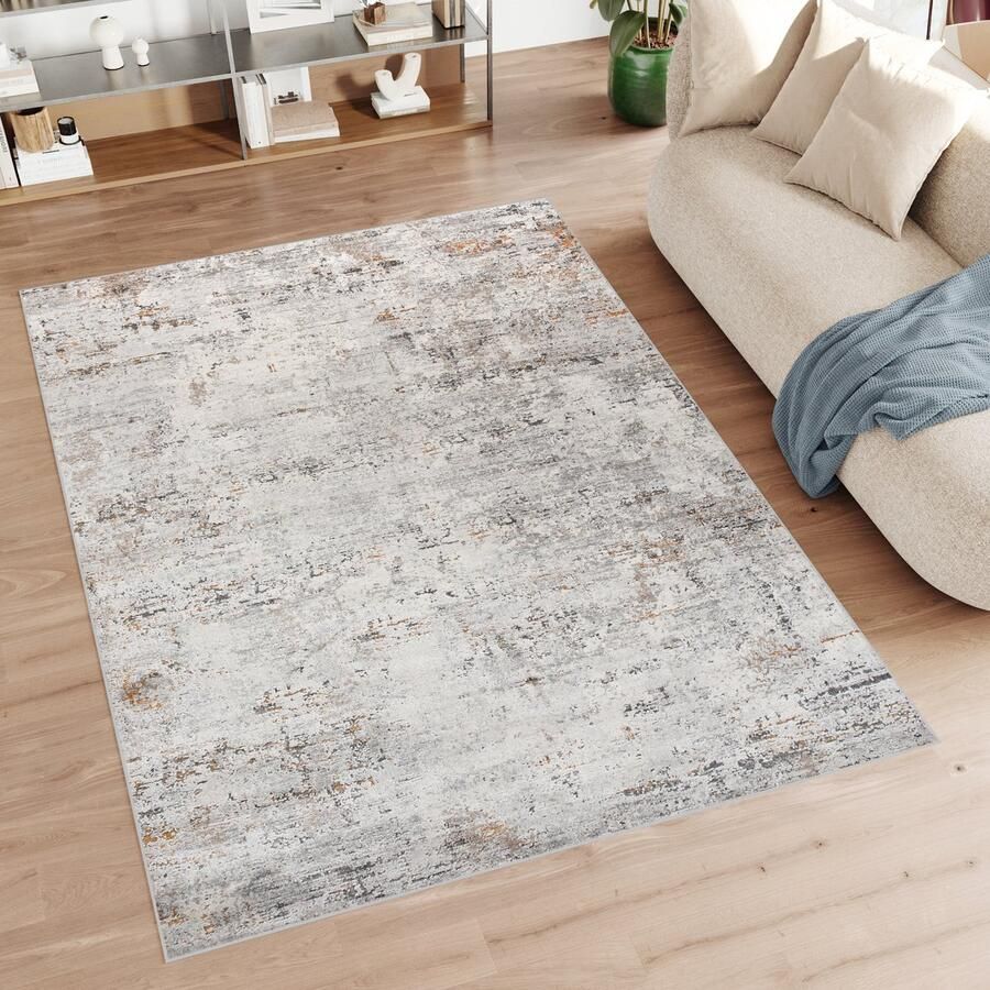 Tapiso Feyruz Vloerkleed Lichtgrijs Woonkamer Laagpolig Abstract Tapijt Maat- 80x150