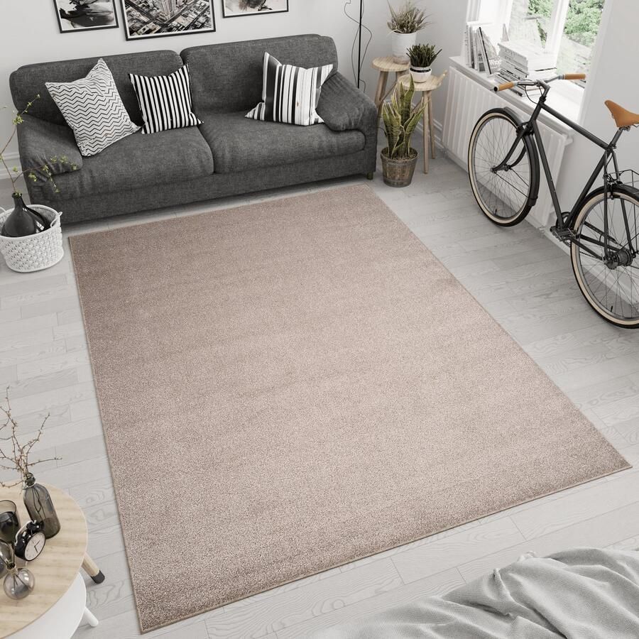 Tapiso Noyan Vloerkleed Tapijt Laagpolig Beige Woonkamer Kleed Maat- 300x400