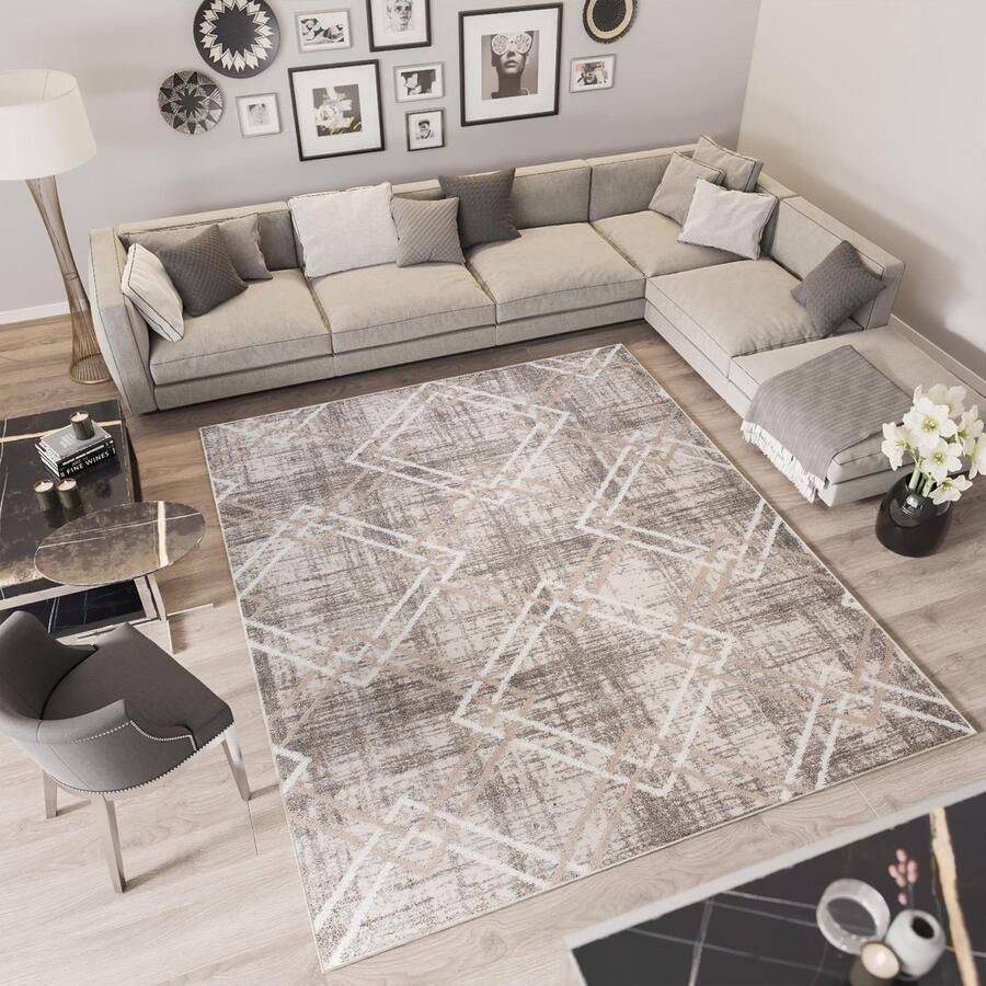 Tapiso Troya Vloerkleed Woonkamer Slaapkamer Grijs Zigzag Design Sfeervol Interieur Modern Geometrisch Duurzaam Hoogwaardig Tapijt Maat 60x100