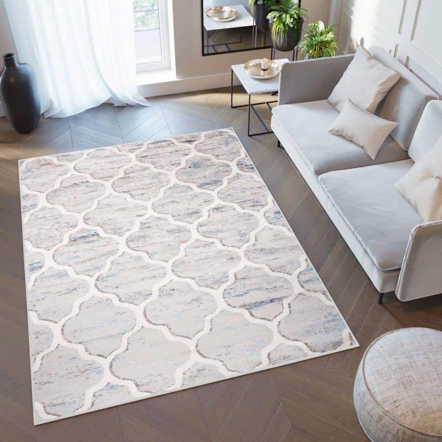 Tapiso Valley Vloerkleed Grijs Trellis Woonkamer Tapijt Modern Maat- 140x200