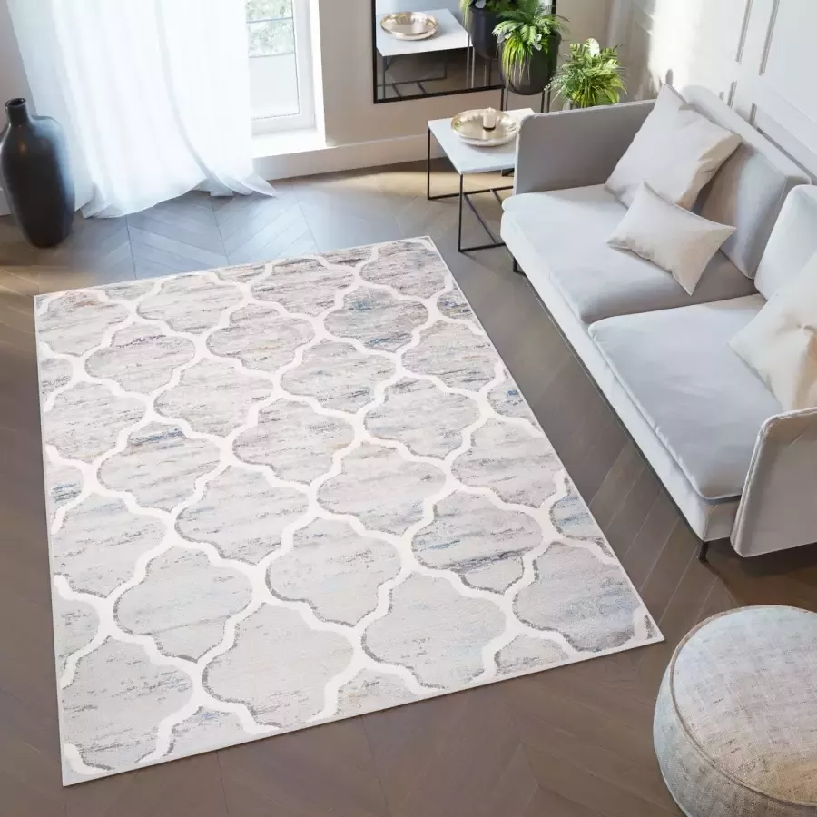 Tapiso Valley Vloerkleed Grijs Trellis Woonkamer Tapijt Modern Maat- 300x400