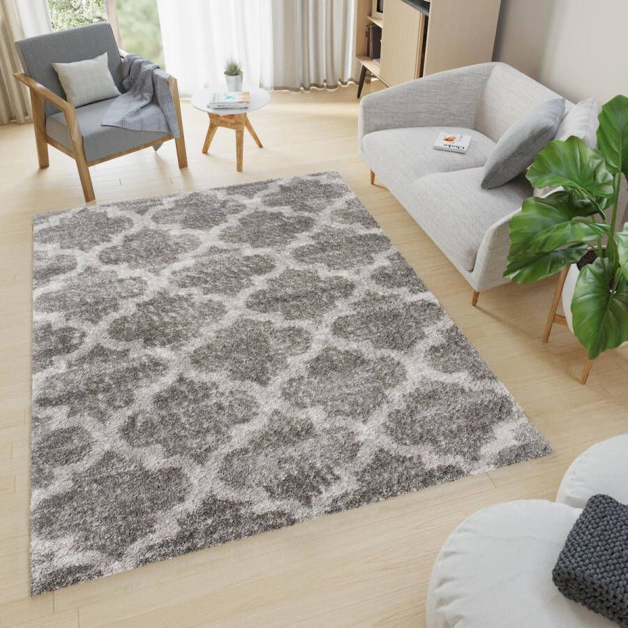 Tapiso Versay Vloerkleed Hoogpolig Boho Shaggy Tapijten Maat- 200x300