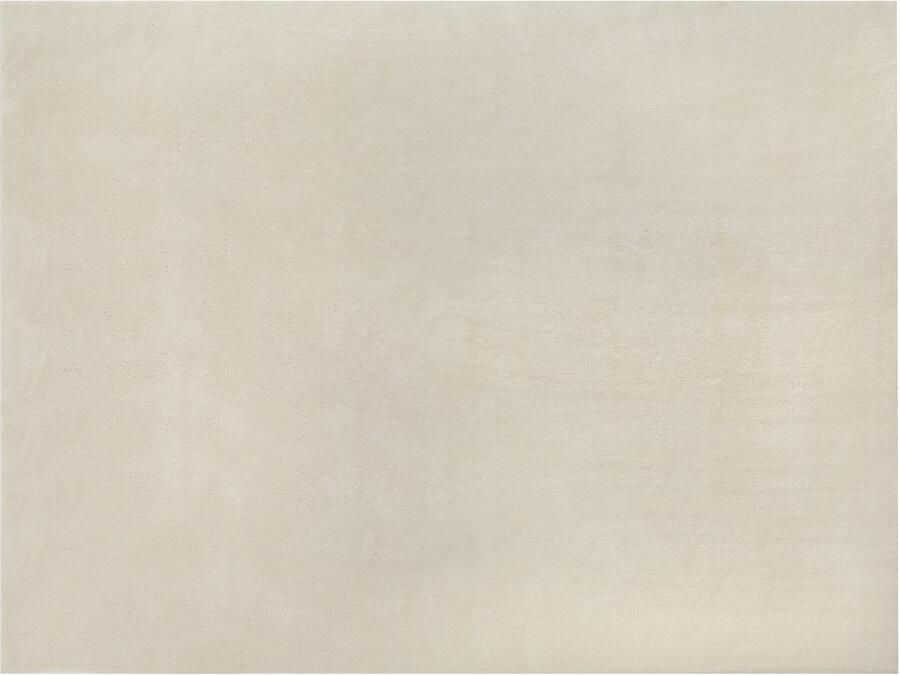 Tectake Kortpolig Vloerkleed -120 x 170 cm Beige Tapijt voor Woonkamer Slaapkamer Eetkamer Onderhoudsvriendelijk en Wasbaar Antislip Ondertapijt Allergievriendelijk maten en kleuren