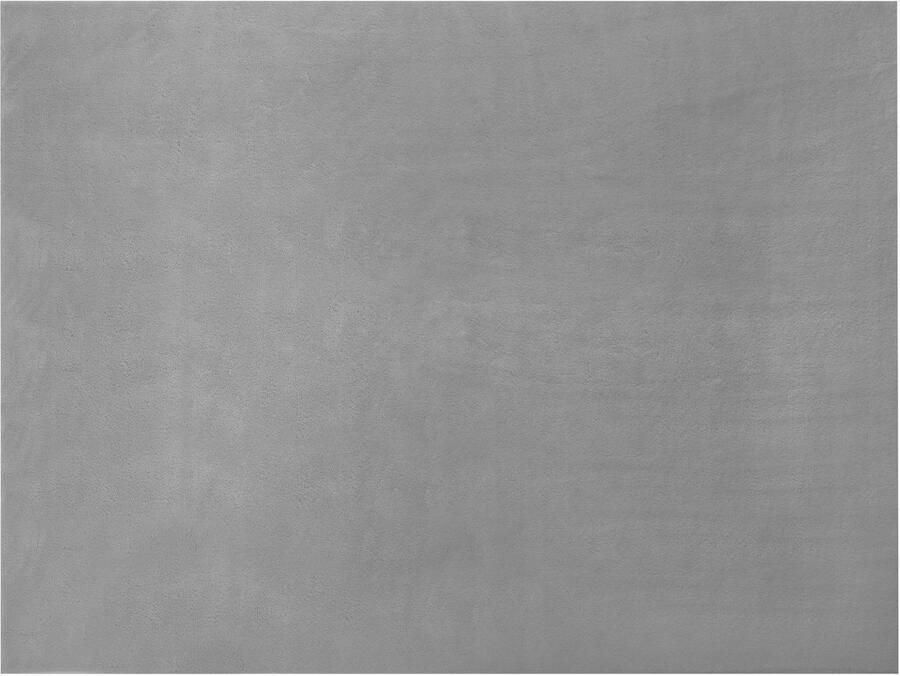 Tectake Kortpolig Vloerkleed 120 x 170 cm Grijs Tapijt voor Woonkamer Slaapkamer Eetkamer Onderhoudsvriendelijk en Wasbaar Antislip Ondertapijt Allergievriendelijk maten en kleuren