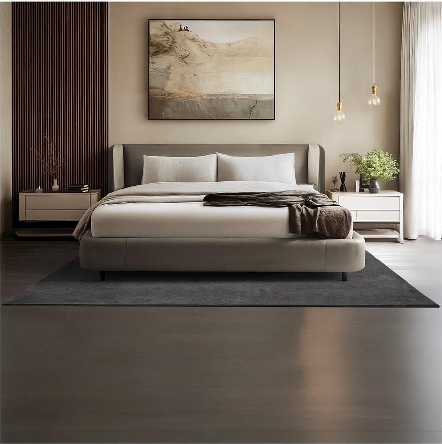 Tectake Kortpolig Vloerkleed 160 x 230 cm Antraciet Tapijt voor Woonkamer Slaapkamer Eetkamer Onderhoudsvriendelijk en Wasbaar Antislip Ondertapijt Allergievriendelijk maten en kleuren