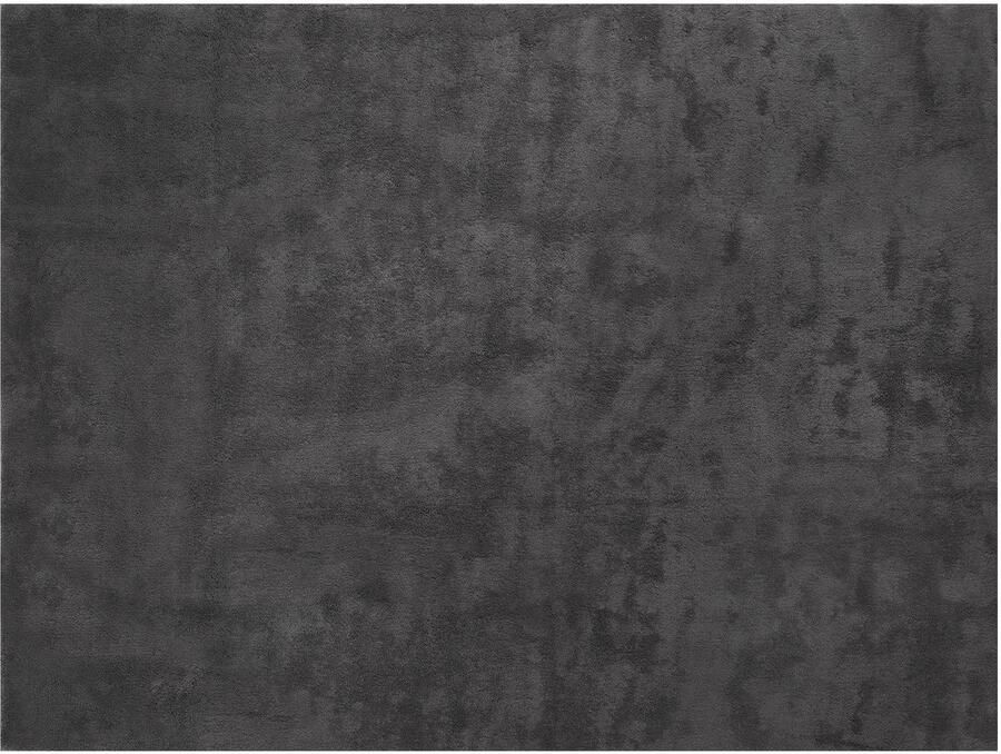 Tectake Kortpolig Vloerkleed 200 x 290 cm Antraciet Tapijt voor Woonkamer Slaapkamer Eetkamer Onderhoudsvriendelijk en Wasbaar Antislip Ondertapijt Allergievriendelijk maten en kleuren