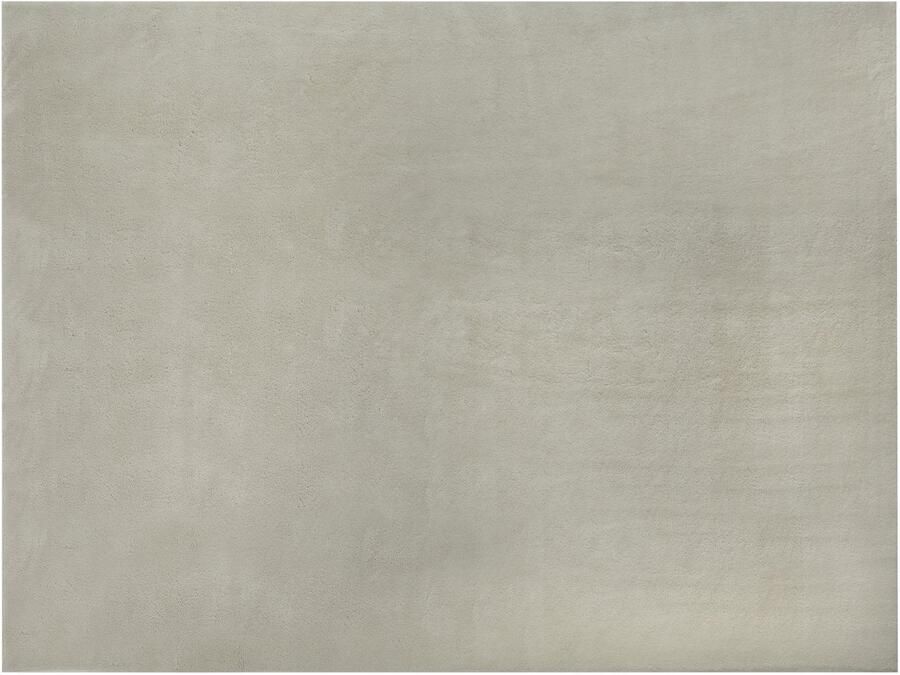 Tectake Kortpolig Vloerkleed 200 x 290 cm Zandkleur Tapijt voor Woonkamer Slaapkamer Eetkamer Onderhoudsvriendelijk en Wasbaar Antislip Ondertapijt Allergievriendelijk maten en kleuren