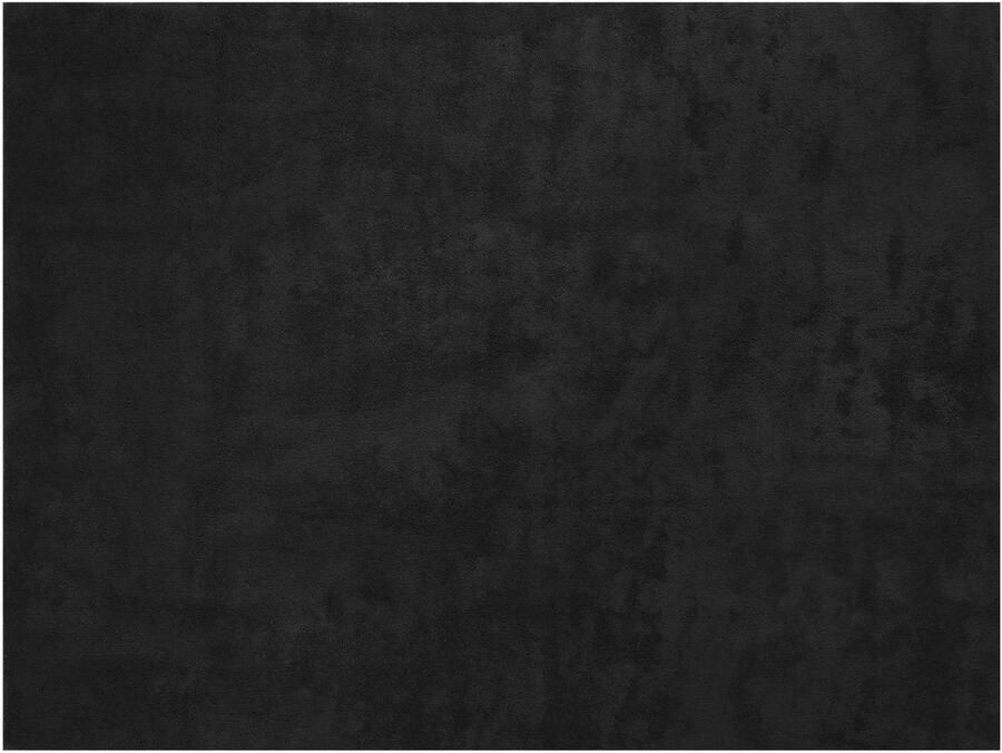 Tectake Kortpolig Vloerkleed 120 x 170 cm Zwart Tapijt voor Woonkamer Slaapkamer Eetkamer Onderhoudsvriendelijk en Wasbaar Antislip Ondertapijt Allergievriendelijk maten en kleuren