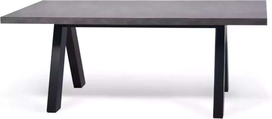 TemaHome Eettafel Alex 200x100cm betonlook - Foto 2