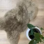 Texelse Producten Taupe Texel Schapenvacht XL Skéépe 100% Echt Texelse Schapenvachten Vloerkleed Dierenvellen - Thumbnail 1