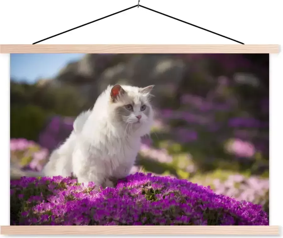 TextilePosters Posterhanger incl. Poster 120x80 cm Schoolplaat Een witte ragdoll kat zit in een bed van roze bloemen Textielposter Blanke latten