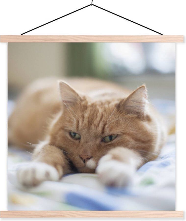 TextilePosters Posterhanger incl. Poster 120x80 cm Schoolplaat Kat Bed Bedsprei Meisjes Kinderen Jongens Kind Textielposter Blanke latten