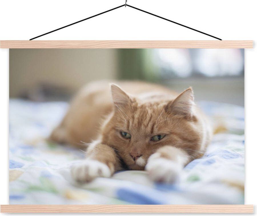 TextilePosters Posterhanger incl. Poster 60x40 cm Schoolplaat Kat Bed Bedsprei Meisjes Kinderen Jongens Kind Textielposter Blanke latten