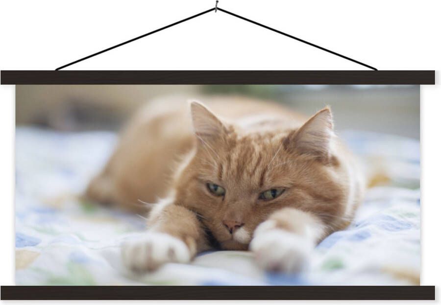 TextilePosters Posterhanger incl. Poster 90x90 cm Schoolplaat Kat Bed Bedsprei Meisjes Kinderen Jongens Kind Textielposter Blanke latten