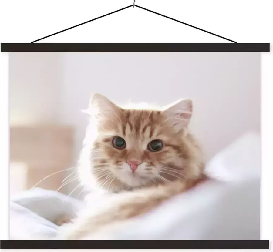 TextilePosters Posterhanger incl. Poster 120x90 cm Schoolplaat Kat Rood Bed Meisjes Kinderen Jongens Kids Textielposter Blanke latten
