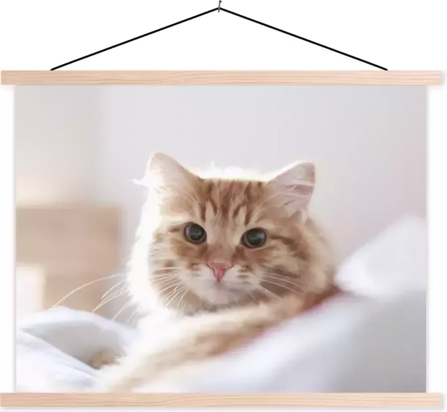 TextilePosters Posterhanger incl. Poster 150x113 cm Schoolplaat Kat Rood Bed Meisjes Kinderen Jongens Kids Textielposter Zwarte latten