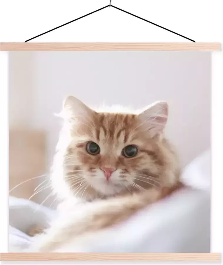 TextilePosters Posterhanger incl. Poster 40x40 cm Schoolplaat Kat Rood Bed Meisjes Kinderen Jongens Kids Textielposter Blanke latten