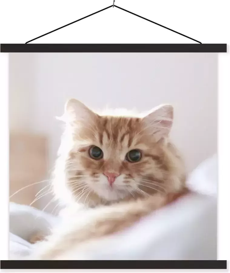 TextilePosters Posterhanger incl. Poster 90x90 cm Schoolplaat Kat Rood Bed Meisjes Kinderen Jongens Kids Textielposter Zwarte latten