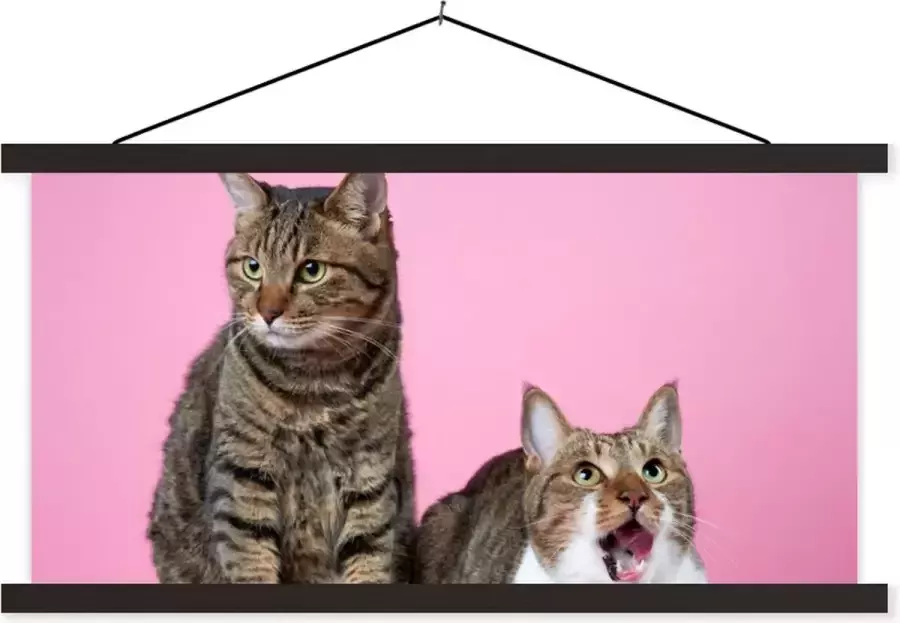 TextilePosters Posterhanger incl. Poster Schoolplaat Kat Roze Poef Meisjes Kinderen Meiden Kind 120x60 cm Zwarte latten