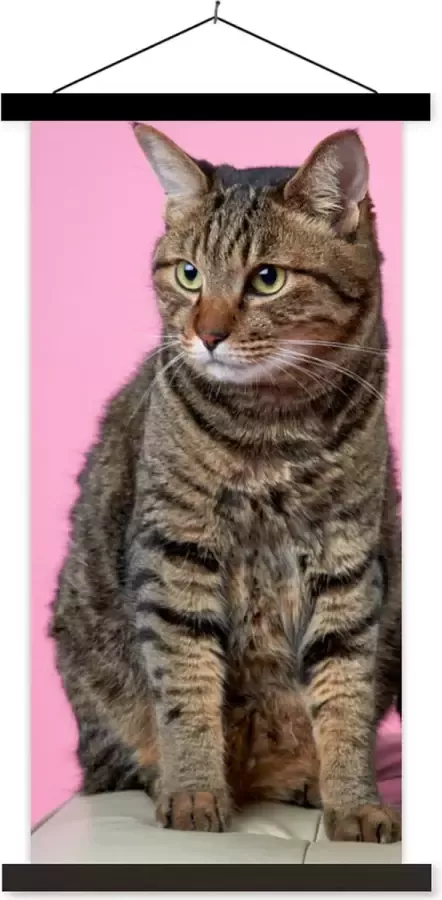 TextilePosters Posterhanger incl. Poster 40x80 cm Schoolplaat Kat Roze Poef Meisjes Kinderen Meiden Kind Textielposter Zwarte latten