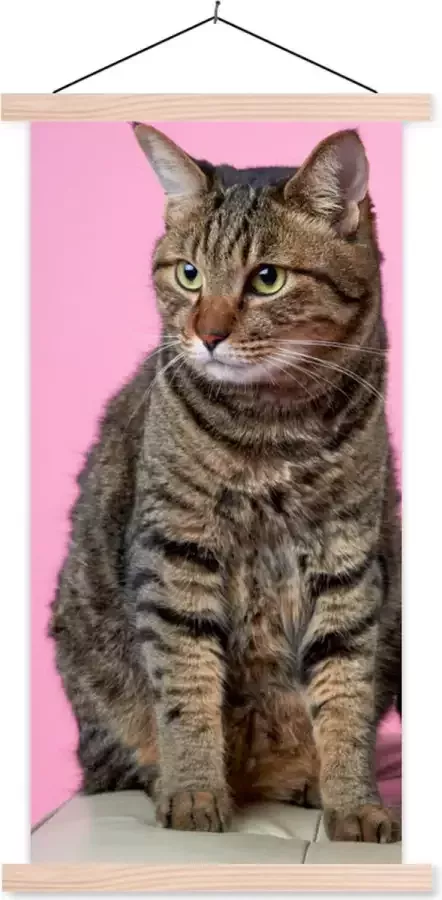 TextilePosters Posterhanger incl. Poster 60x120 cm Schoolplaat Kat Roze Poef Meisjes Kinderen Meiden Kind Textielposter Zwarte latten