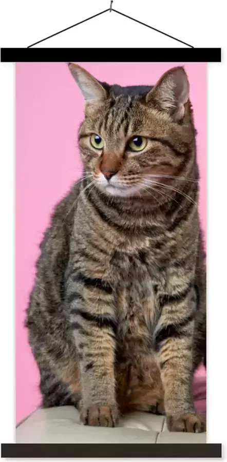 TextilePosters Posterhanger incl. Poster 90x180 cm Schoolplaat Kat Roze Poef Meisjes Kinderen Meiden Kind Textielposter Blanke latten
