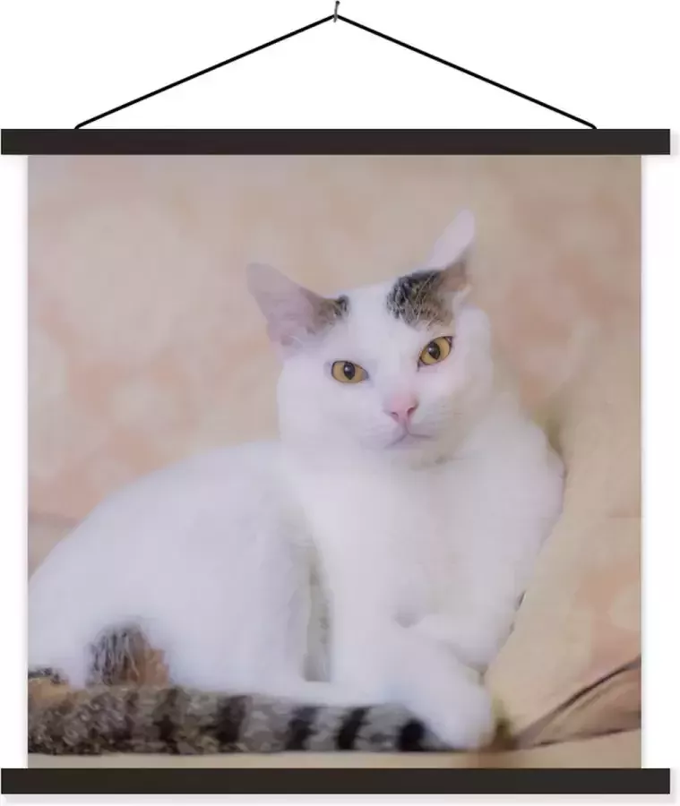 TextilePosters Posterhanger incl. Poster Schoolplaat Kat Wit Bank Meisjes Kinderen Jongens Kids 40x40 cm Blanke latten