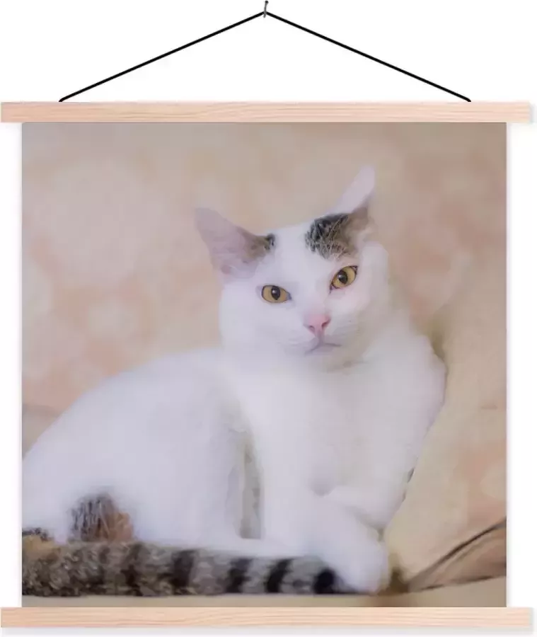 TextilePosters Posterhanger incl. Poster Schoolplaat Kat Wit Bank Meisjes Kinderen Jongens Kids 90x90 cm Zwarte latten