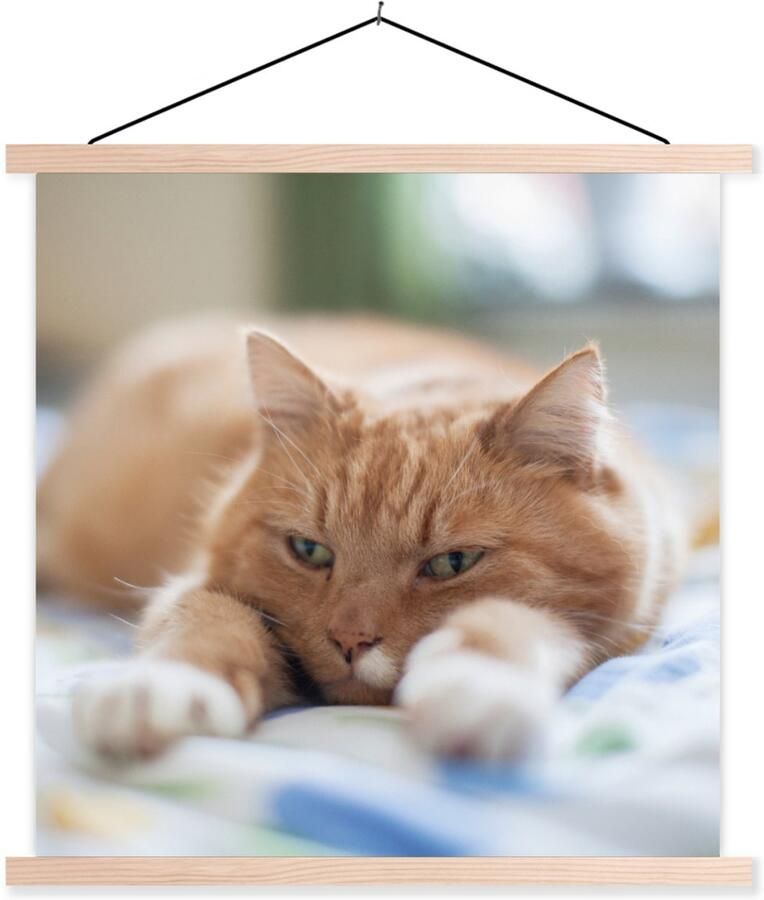 TextilePosters Posterhanger incl. Poster 90x90 cm Schoolplaat Kat Bed Bedsprei Meisjes Kinderen Jongens Kind Textielposter Blanke latten - Foto 2