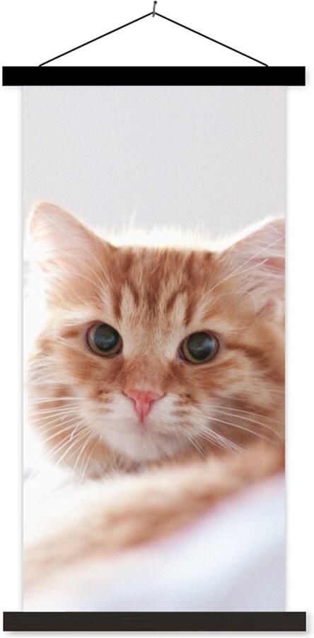 TextilePosters Posterhanger incl. Poster 40x80 cm Schoolplaat Kat Rood Bed Meisjes Kinderen Jongens Kids Textielposter Zwarte latten