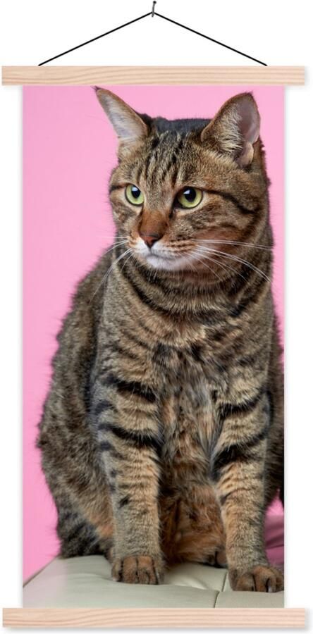 TextilePosters Posterhanger incl. Poster 60x120 cm Schoolplaat Kat Roze Poef Meisjes Kinderen Meiden Kind Textielposter Blanke latten