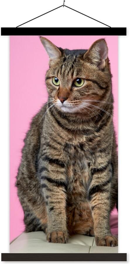 TextilePosters Posterhanger incl. Poster 90x180 cm Schoolplaat Kat Roze Poef Meisjes Kinderen Meiden Kind Textielposter Zwarte latten