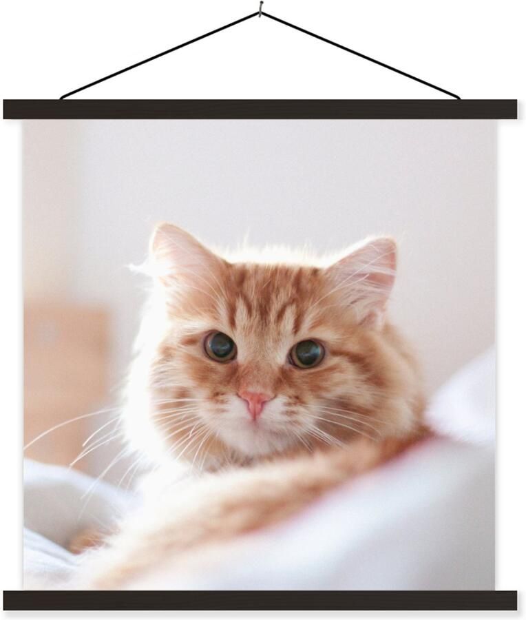 TextilePosters Posterhanger incl. Poster 40x40 cm Schoolplaat Kat Rood Bed Meisjes Kinderen Jongens Kids Textielposter Zwarte latten