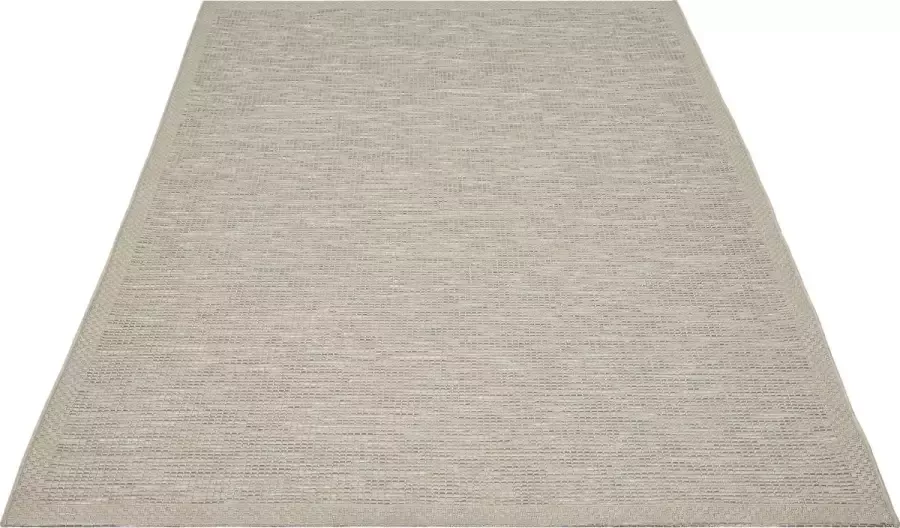 the carpet Calgary Vloerkleed voor Buiten en Buiten Buitenkleed Tuintapijt Buitentapijt Beige-grijs 67 x 180 cm