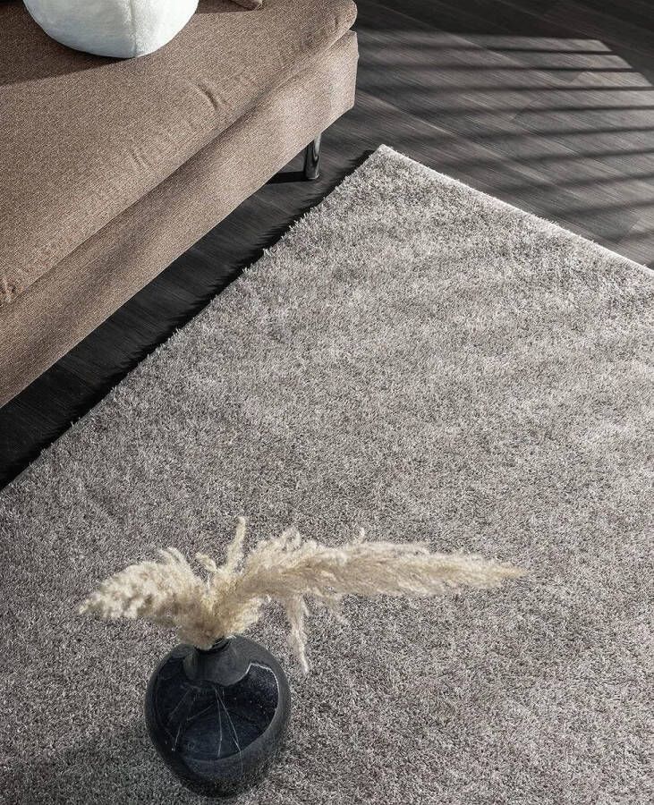 the carpet Relax Glamour Zacht Modern Shaggy Vloerkleed Langpolig Woonkamerkleed Gel Backing Wasbaar 30 mm Stapelhoogte Effen 200x290