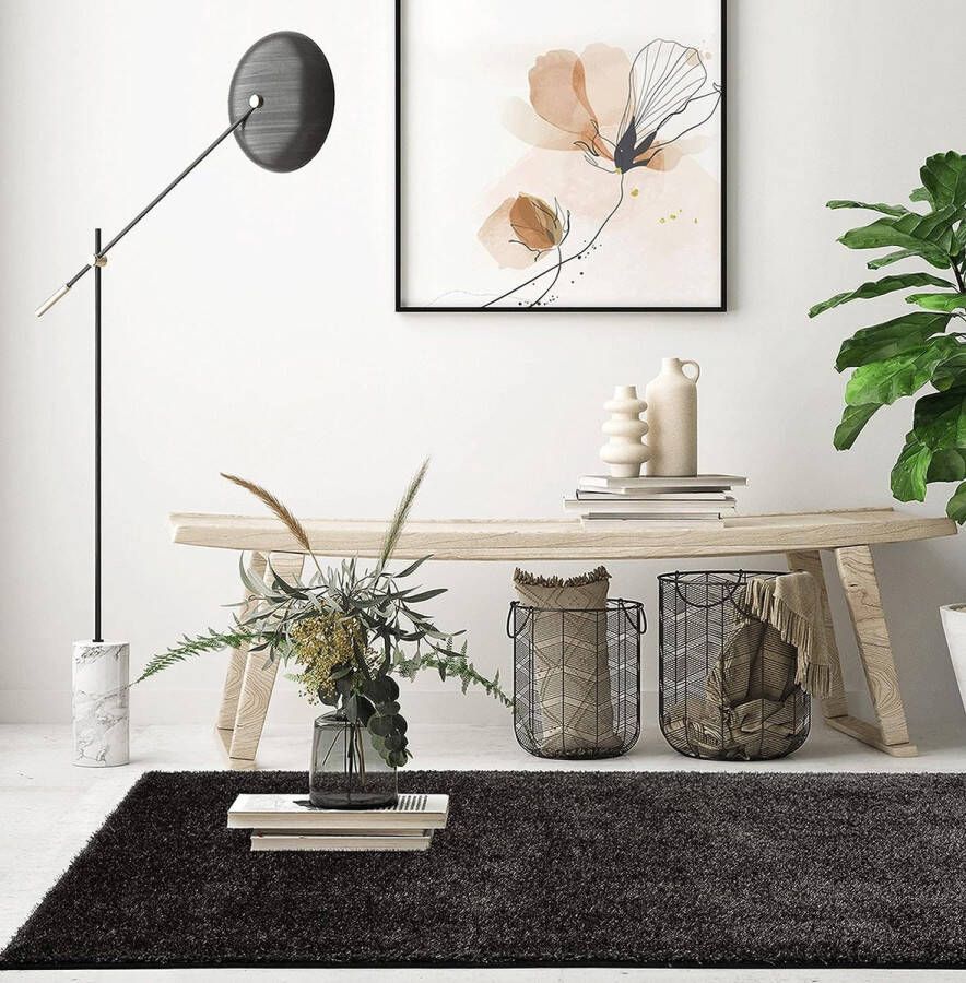 The carpet Relax Glamour Zacht Modern Shaggy Vloerkleed Langpolig Woonkamerkleed Gel Backing Wasbaar 30 mm Stapelhoogte Effen 120x170