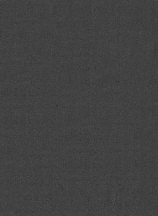 The carpet Comfy Vloerkleed – Zacht bonttapijt 100% polyester wasbaar geschikt voor vloerverwarming Öko-Tex gecertificeerd antraciet 200 x 280 cm