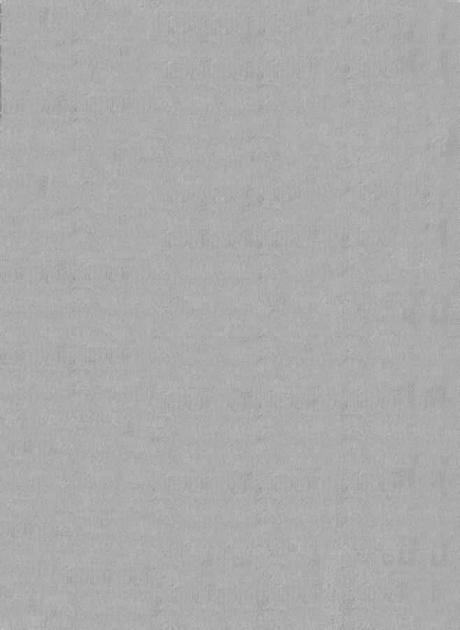 The carpet Comfy Vloerkleed – Zacht bonttapijt 100% polyester wasbaar geschikt voor vloerverwarming Öko-Tex gecertificeerd grijs 80 x 150 cm