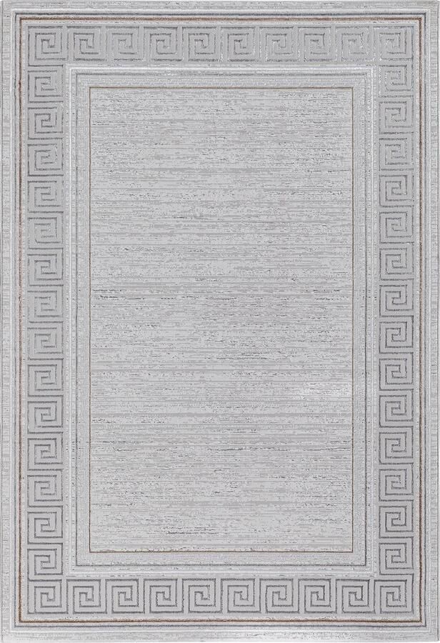 The carpet Vloerkleed Mila modern tapijt woonkamer elegant glanzend kortpolig woonkamer tapijt in grijs met goud zilver rand tapijt 120 x 170 cm
