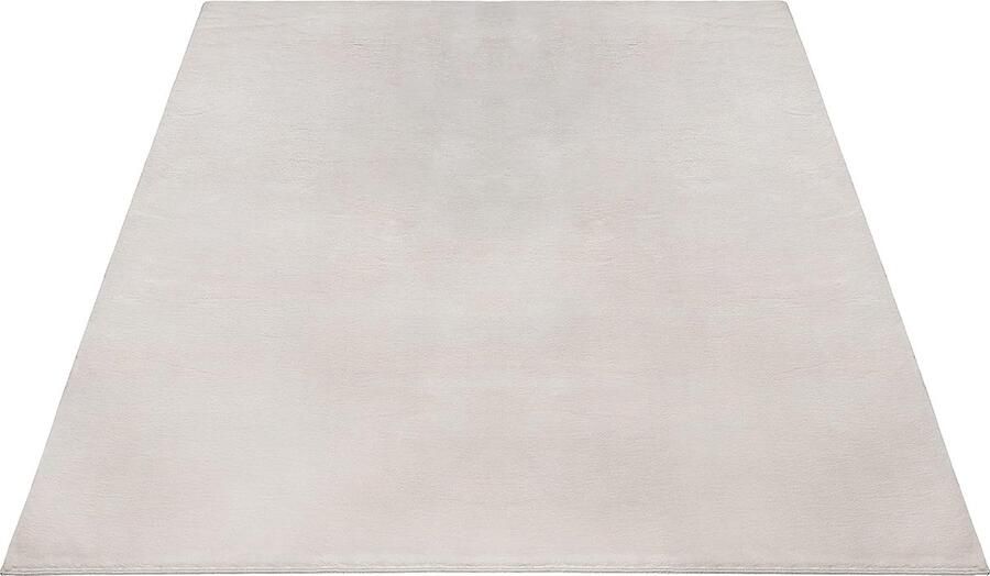 The carpet Premium Modern Langpolig Woonkamerkleed Superzacht Kunstbont Pluizig Bontlook 200x290cm