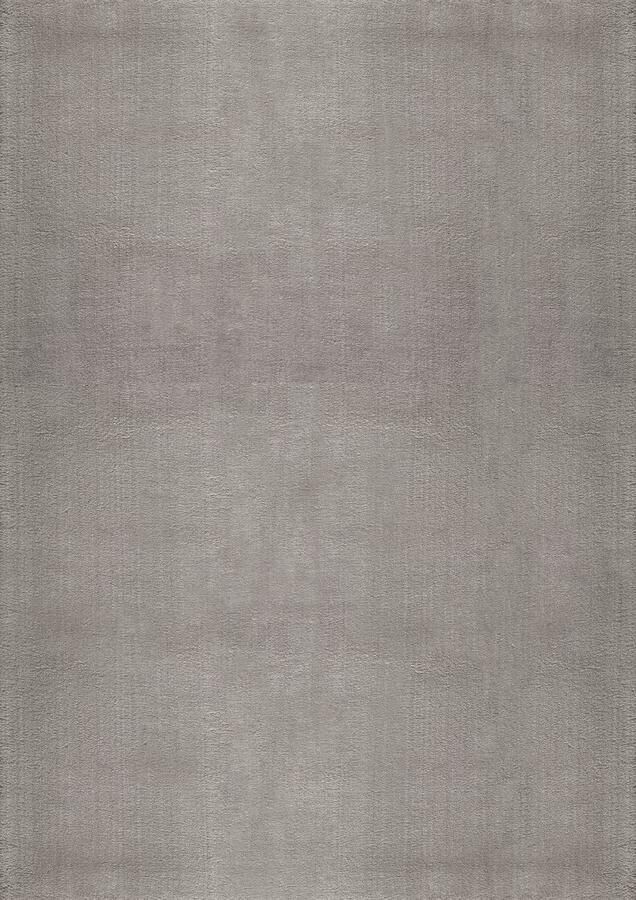 The carpet Vloerkleed voor woonkamer of slaapkamer in Zilver 60x110 cm Modern en zacht kortpolig tapijt Rechthoekig Antislip onderkant Wasbaar tot 30 Graden Rug for bedroom or living room RELAX kleed by