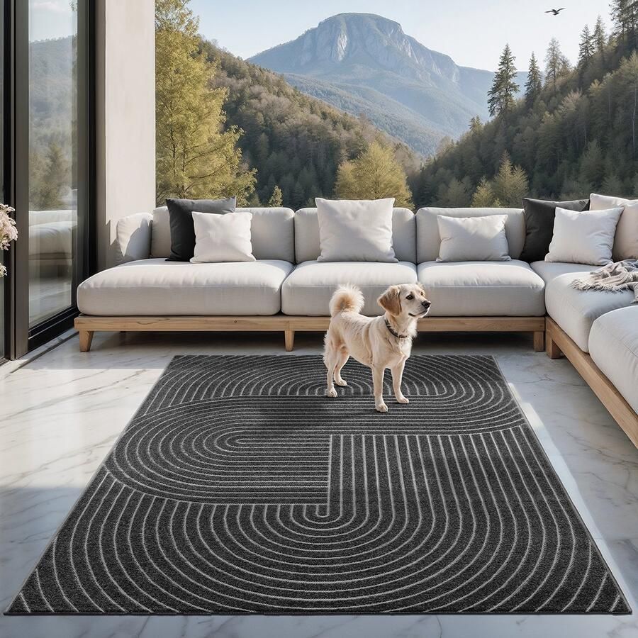 The carpet Santo Plus – Weerbestendig outdoor vloerkleed met 3D patroon geschikt voor balkon terras en woonkamer antraciet met boho-accenten 160 x 220 cm