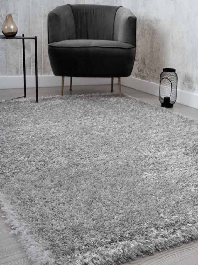 The carpet Willow – Langflor hoogpolig vloerkleed voor woonkamer en slaapkamer modern zacht Silver 60 x 110 cm