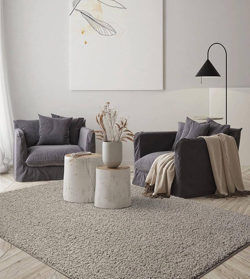 The carpet Vloerkleed 120x170 hoogpolig Zilver Wasbaar met Antislip onderkant FOXY Shaggy by